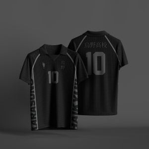 [Haikyuu!!] Karasuno 2023 Blackout